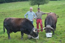 Ein «Swissness»-Anlass mit Eringer Kühen wird in Oberwil geplant