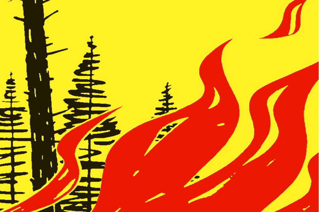 Feuerverbot im Wald und in Waldesnähe