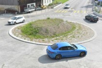 Dorfkreisel: Einheimische Pflanzenwelt sorgt für Diskussionen