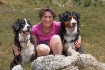 «Berner Sennenhunde sind anders, als viele denken»