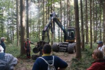 Waldtag: Interessantes rund um Wald und Wild