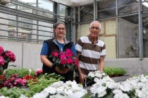 Gärtnerei Zweerus wird weitergeführt