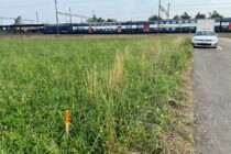 Bushaltestelle «Bahnhof Süd»: Baustart im September