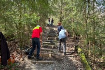 Zwischen Spänen und morschem Holz: Hans Wepfer gibt Amt nach 45 Jahren ab