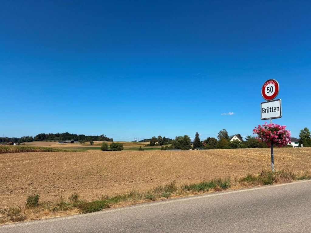 Wenn der Sommer zur Prüfung wird